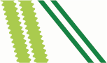 white / green / linden-green