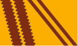 golden yellow / reddish-brown