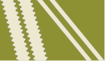 khaki-green / beige